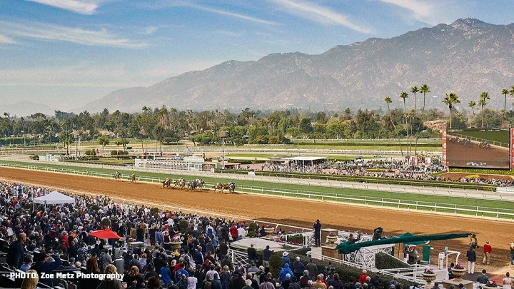 A photograph of Santa Anita Park with jockeys on horses running on the dirt track while spectators sit in the stands in the foreground of the photograph. The San Gabriel Mountains and palm trees are in the background of the photograph. 